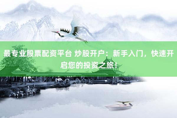 最专业股票配资平台 炒股开户：新手入门，快速开启您的投资之旅！