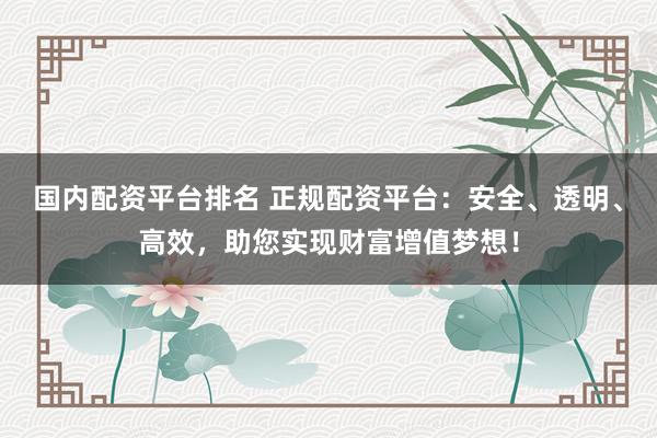 国内配资平台排名 正规配资平台：安全、透明、高效，助您实现财富增值梦想！